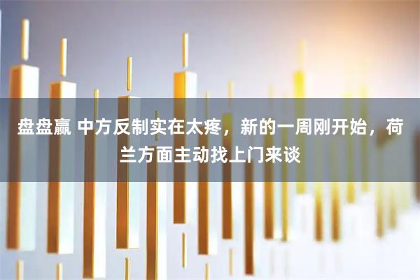 盘盘赢 中方反制实在太疼，新的一周刚开始，荷兰方面主动找上门来谈