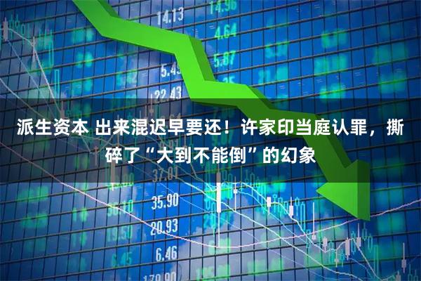 派生资本 出来混迟早要还!许家印当庭认罪,撕碎了“大到不能倒”的幻象