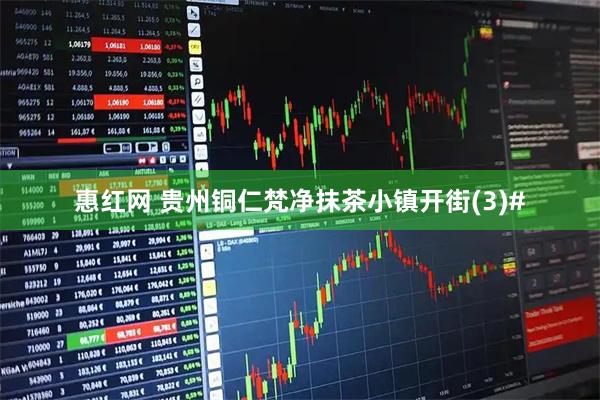 惠红网 贵州铜仁梵净抹茶小镇开街(3)#