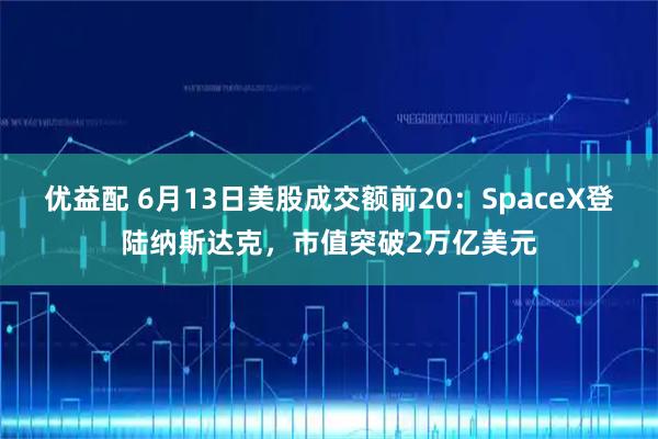 优益配 6月13日美股成交额前20：SpaceX登陆纳斯达克，市值突破2万亿美元